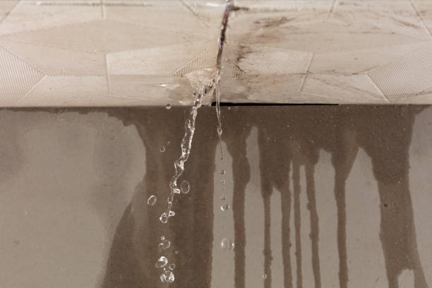 Professional Sewage Cleanup technician working in Jacksonburg, WV
